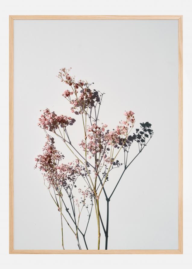 Dried flowers II Poster