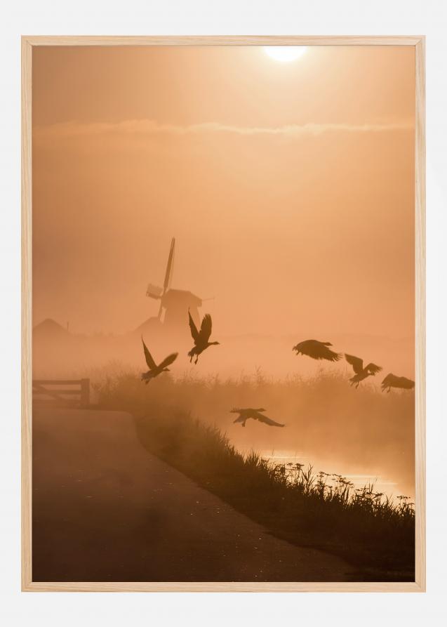 Sunrise Flight Poster