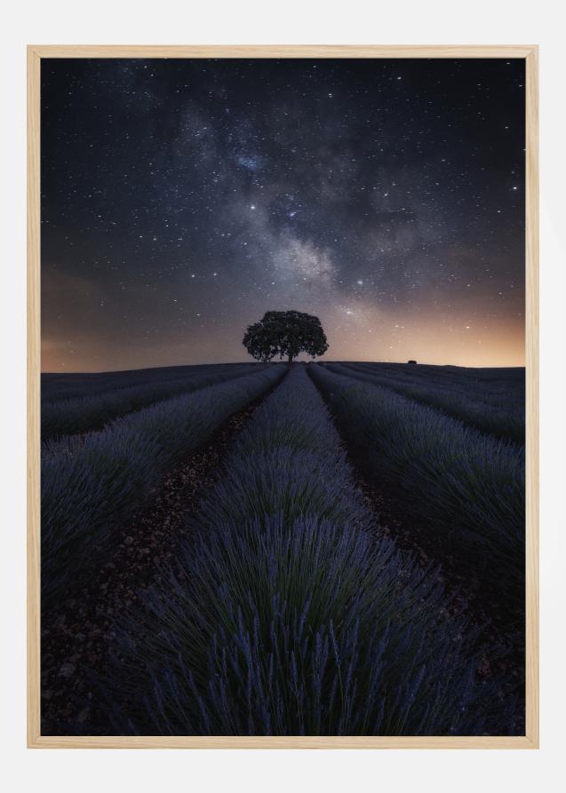 The Lonely Tree Poster