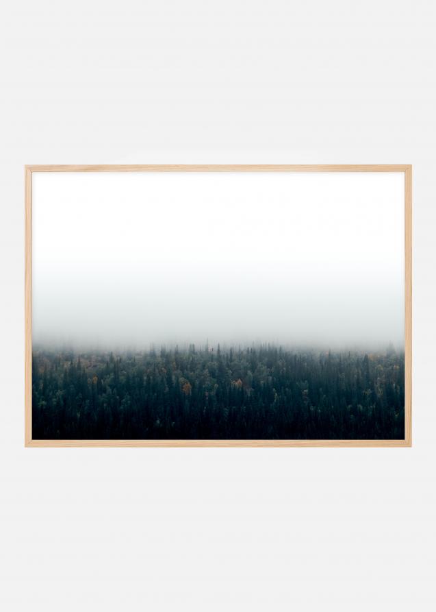 Forests in fog Poster
