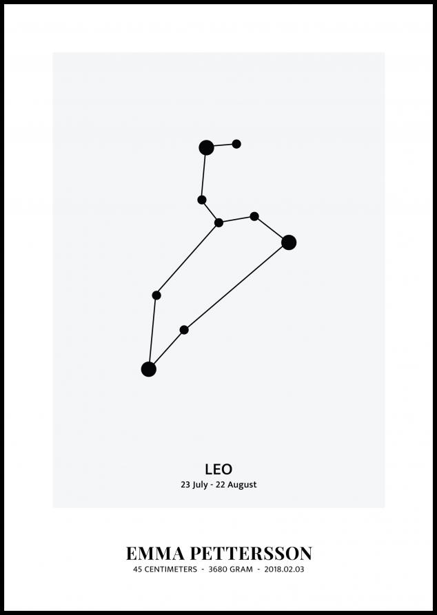 Leo - Star Sign