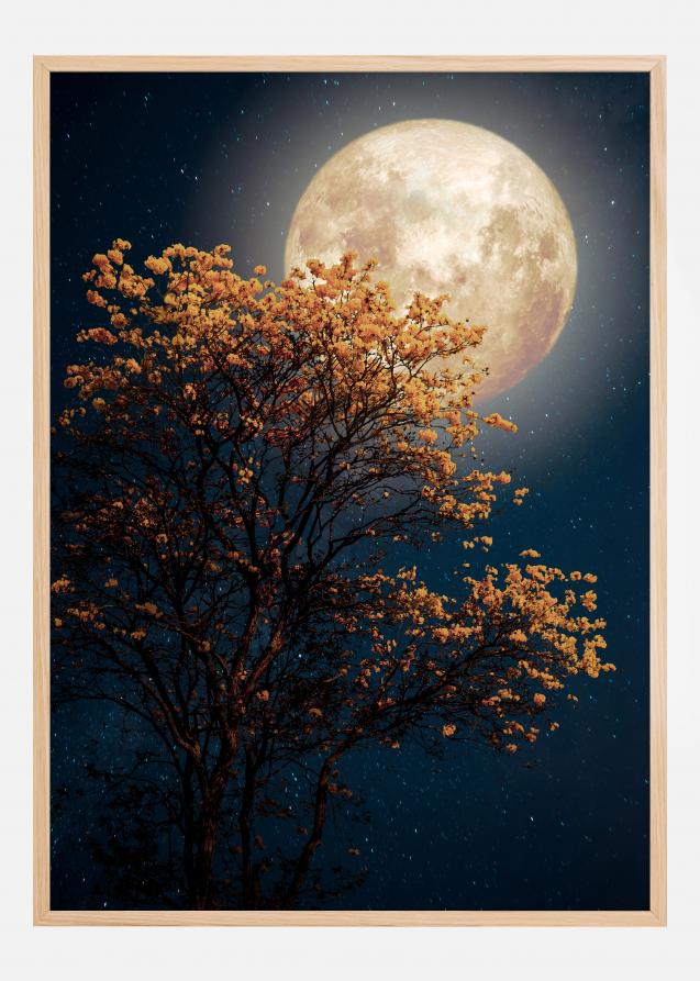 Tree in moonlight Poster