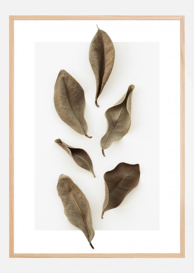 Dried Leaves Poster