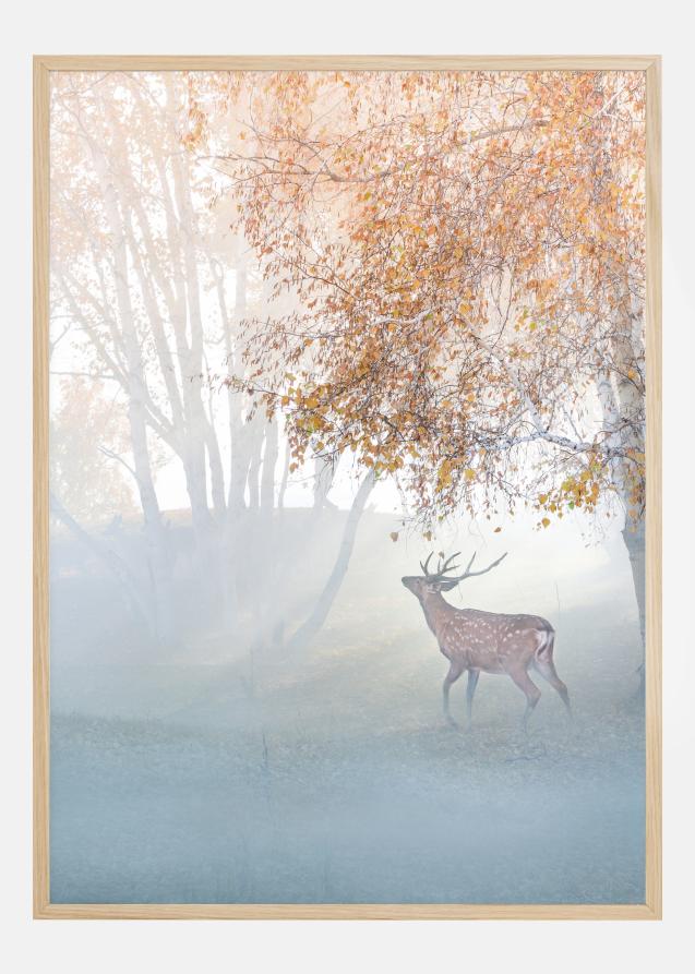 Elk Lost In Mist Poster