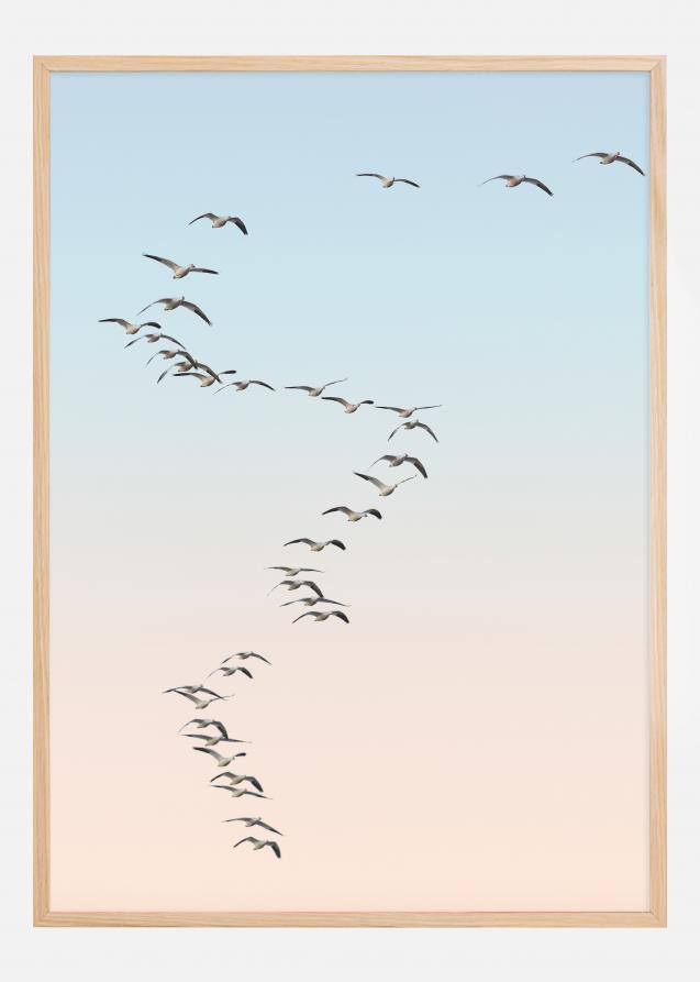 Fly away Poster