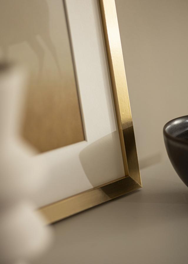 Cadre Selection Verre Acrylique Or 10x20 inches (25,4x50,8 cm)