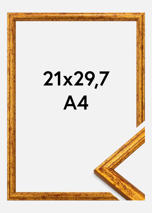 Cadre Claudia Akrylglas Or 21x29,7 cm (A4)