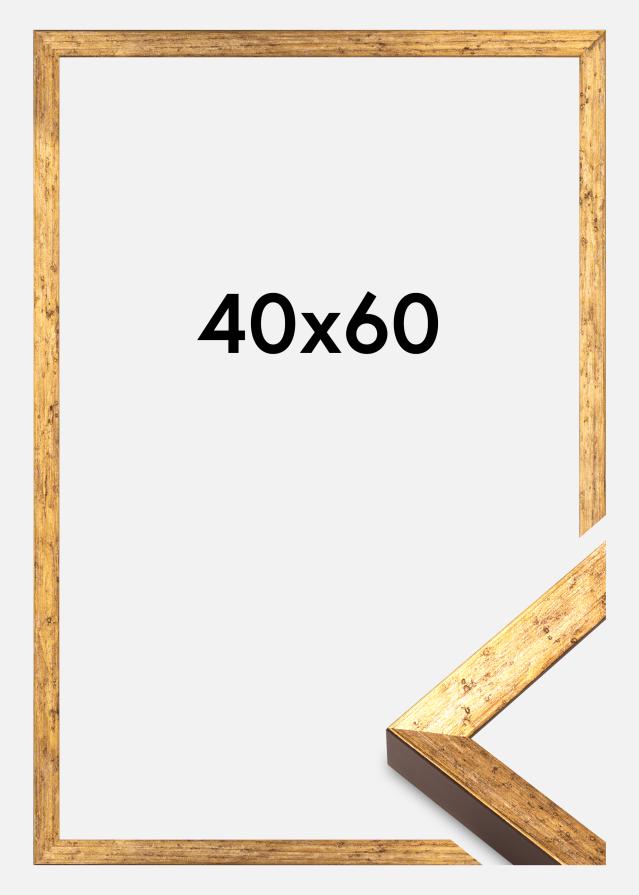 Cadre Dune Acrylique Or 40x60 cm