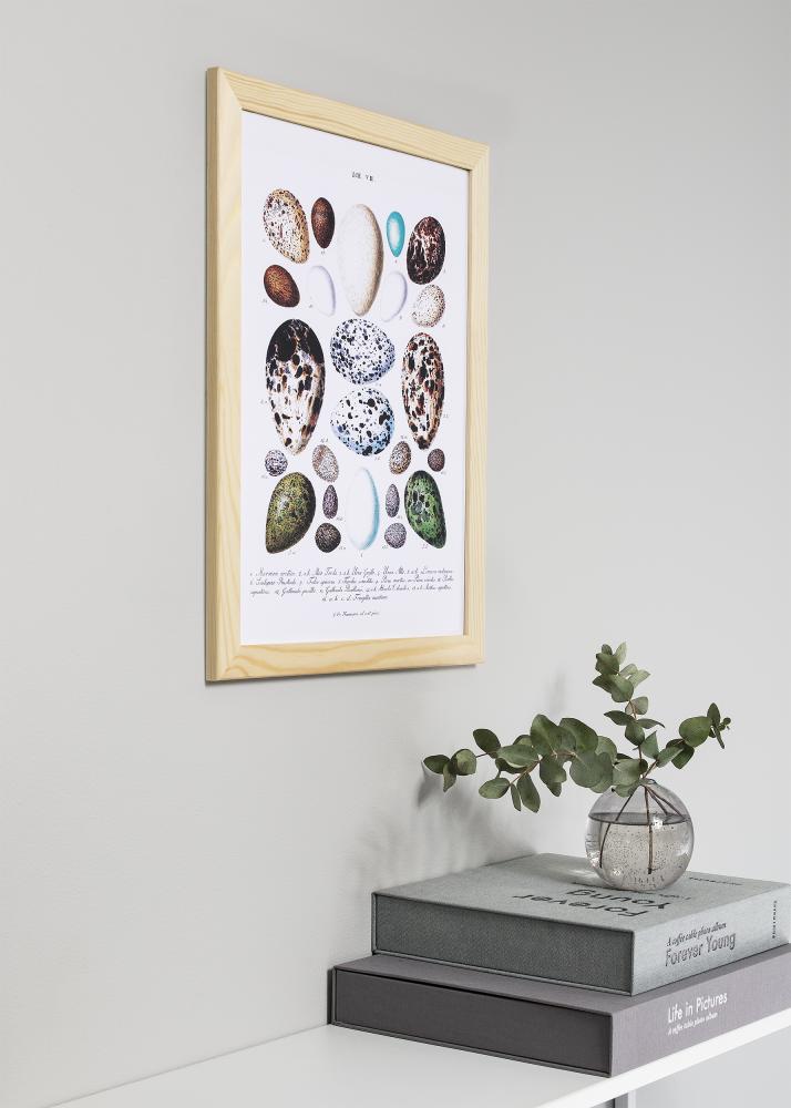 Kader Trendline Natur 60x60 cm - Passe-partout wäiss 50x50 cm