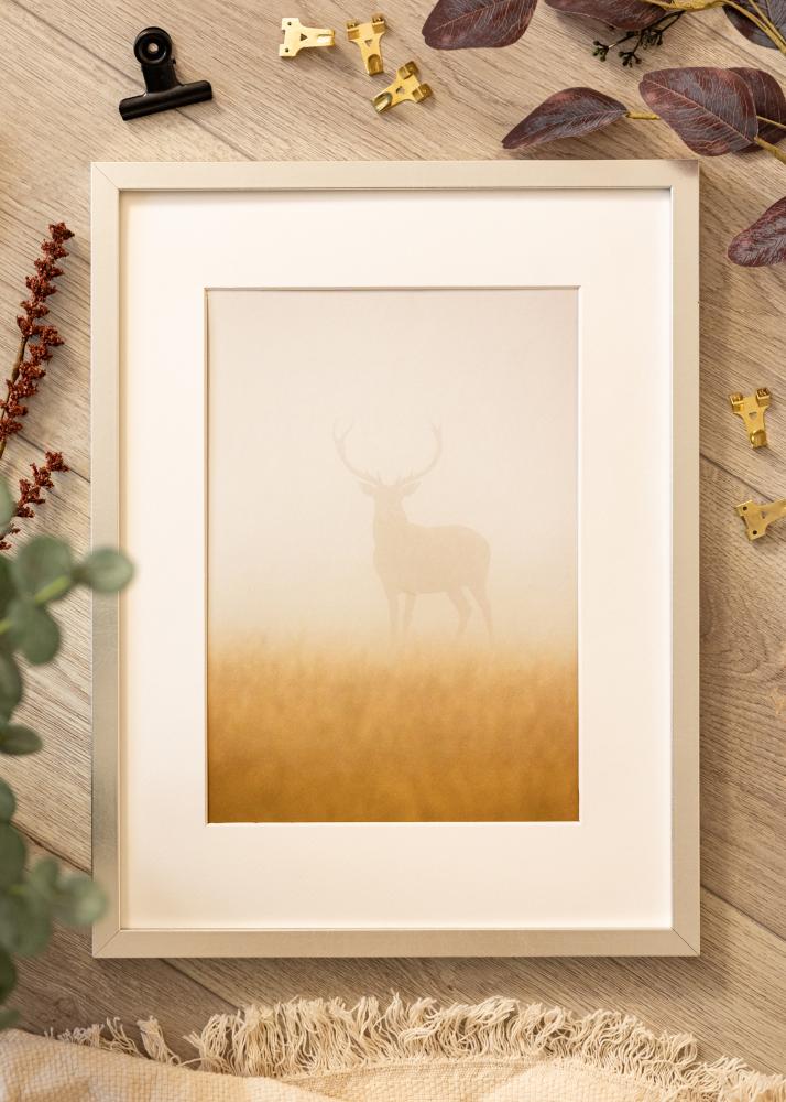 Kader Minerva Sëlwer 30x40 cm - Passe-partout wäiss 20x28 cm