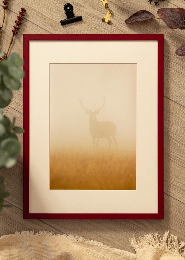 Colorful Verre acrylique Rouge 50x70 cm