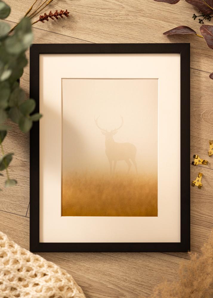 Cadre Deco Verre acrylique Noir 20x30 cm