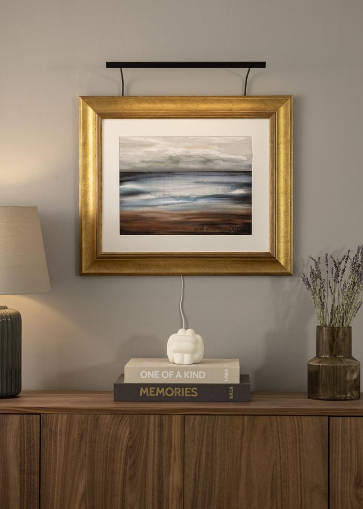 BLP 117 Éclairage de tableau 45 cm - Noir