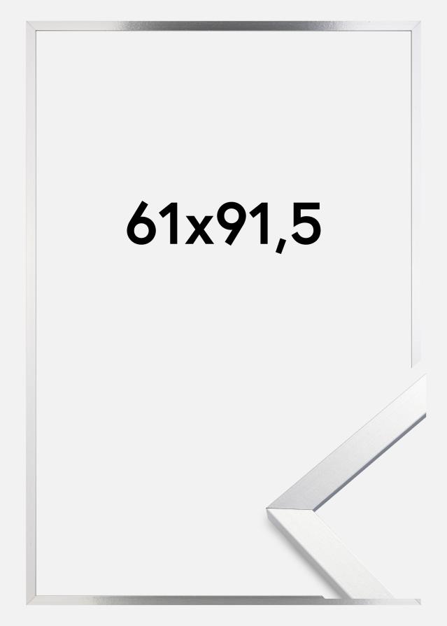 Cadre Trendy Verre Acrylique Argent 61x91,5 cm