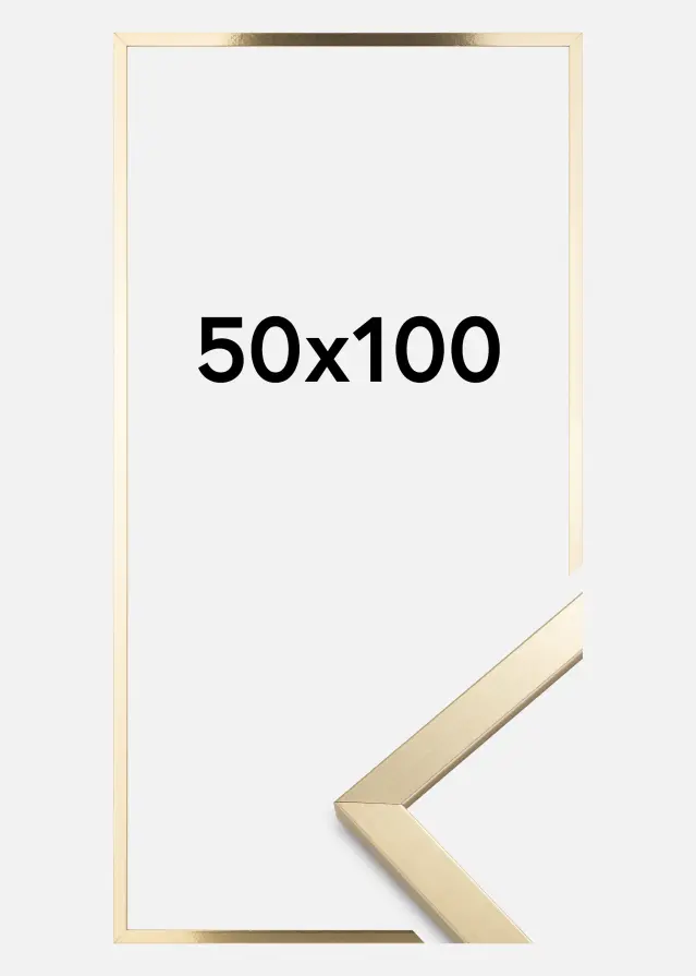 Cadre Trendy Verre Acrylique Or 50x100 cm