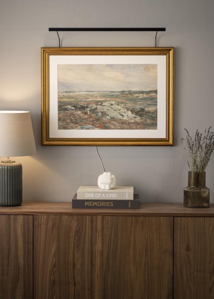 BLP 117 Éclairage de tableau 65 cm - Noir