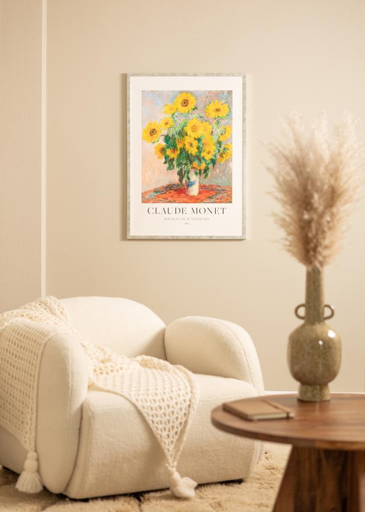 Cadre Ares Verre acrylique Argent 30x45 cm