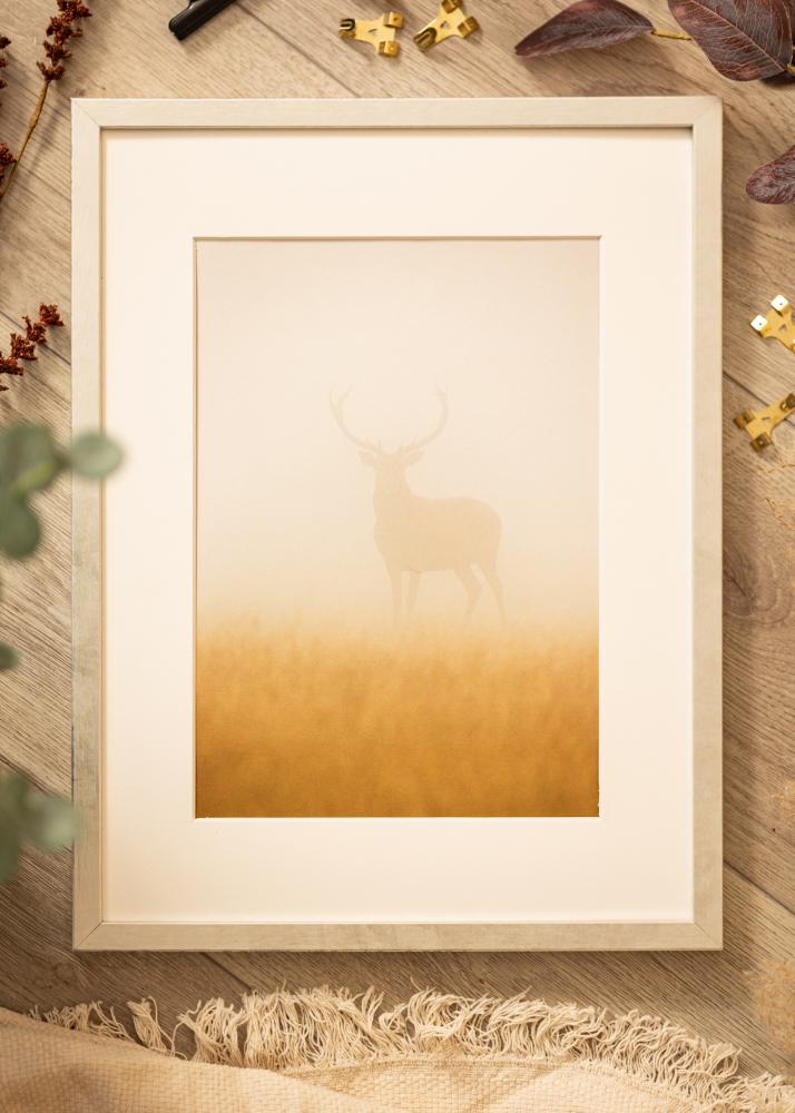 Cadre Ares Verre acrylique Argent 30x45 cm