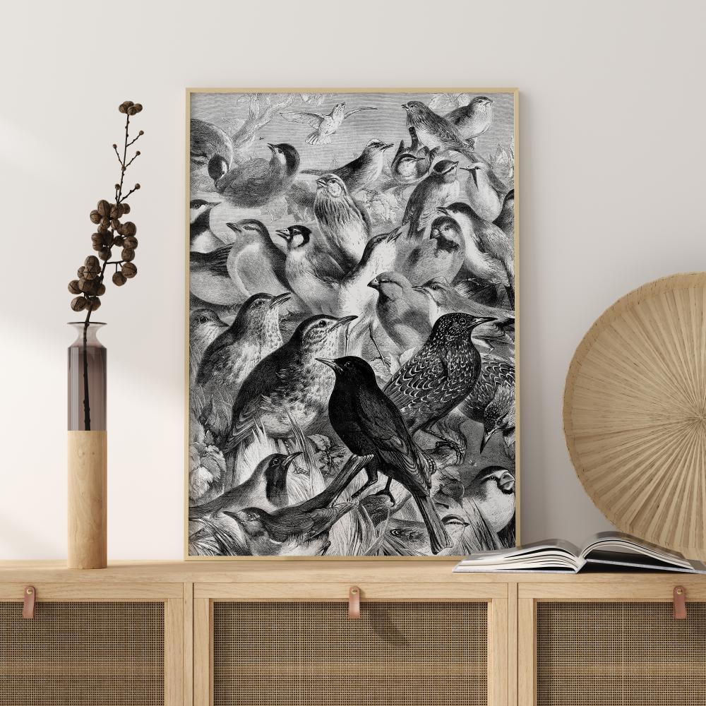 Birds Poster