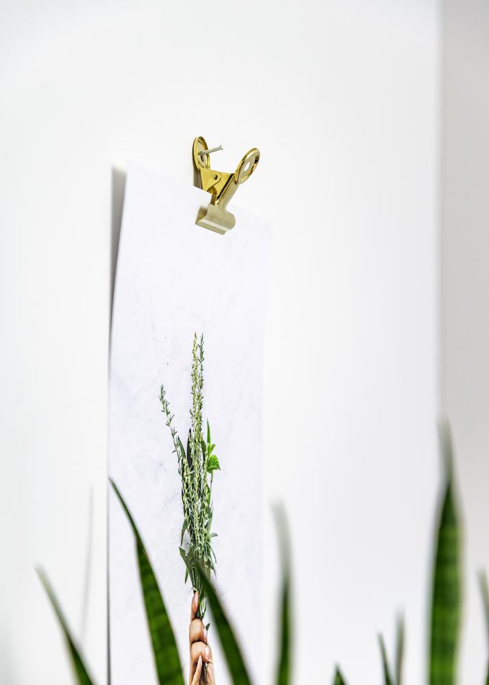 KAILA Poster Clip Gold 20 mm - 4-p