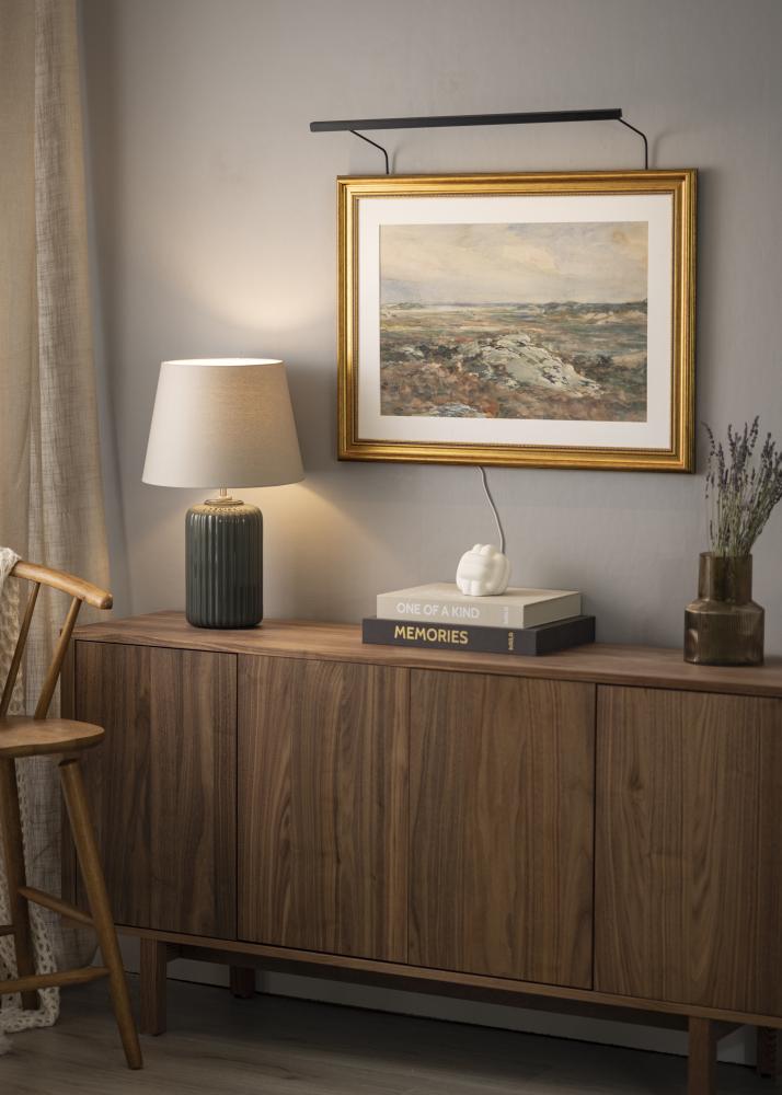 BLP 117 Éclairage de tableau 65 cm - Noir