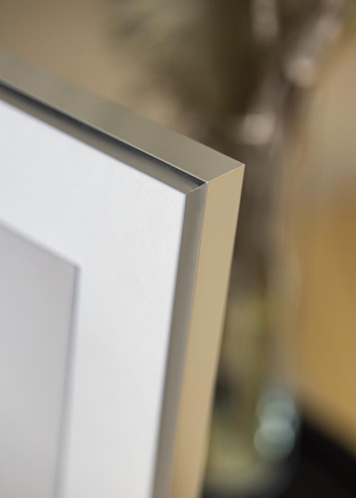 Cadre Poster Aluminum Silver 15x20 cm