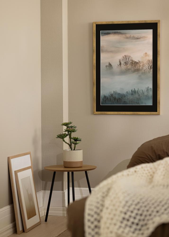 Cadre Stilren Or 18x24 cm - Passe-partout Noir 13x18 cm