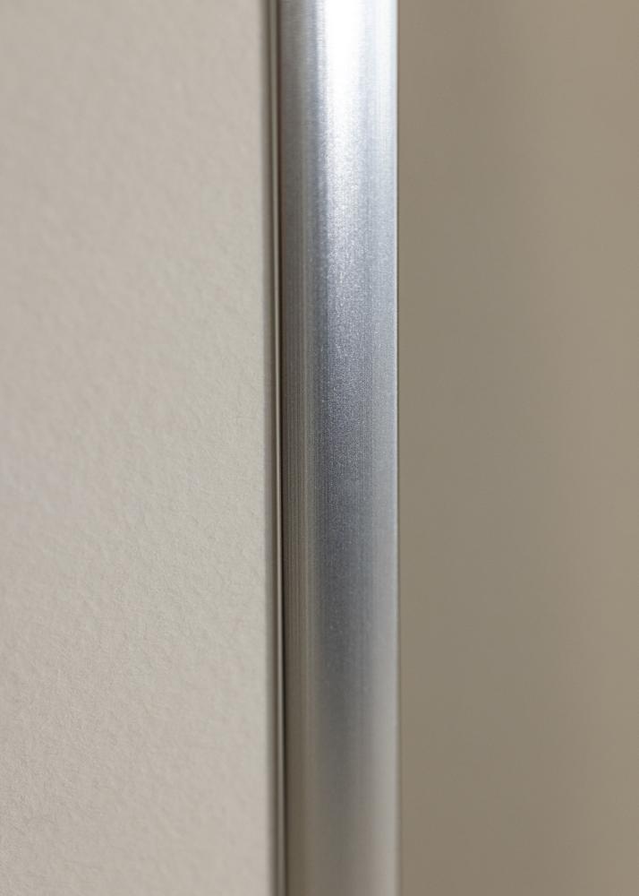 Cadre Poster Aluminum Silver 15x20 cm