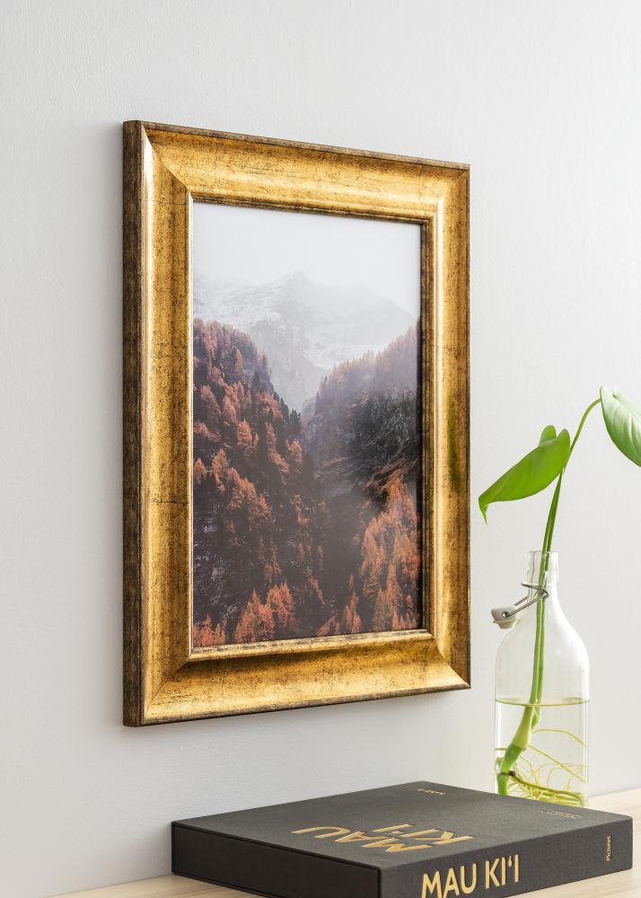 Cadre Saltsjöbaden Verre Acrylique Or 35x50 cm