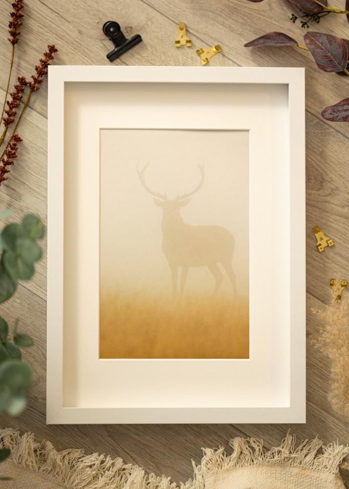 BGA Cadre boîte Verre Acrylique Blanc 29,7x42 cm (A3)