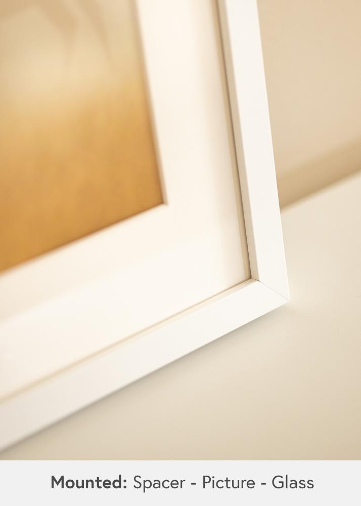 BGA Cadre boîte Verre Acrylique Blanc 29,7x42 cm (A3)