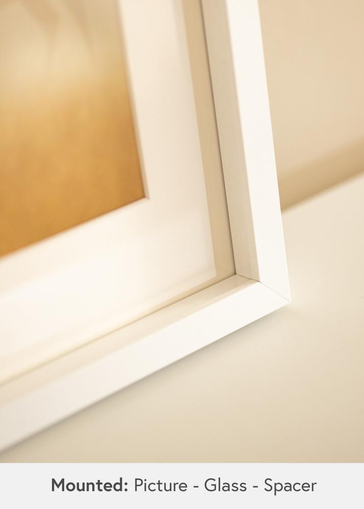 BGA Cadre boîte Verre Acrylique Blanc 29,7x42 cm (A3)