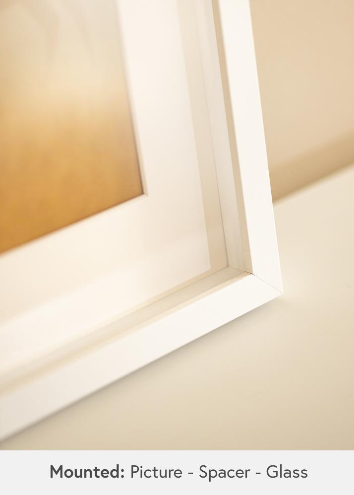 BGA Cadre boîte Verre Acrylique Blanc 29,7x42 cm (A3)