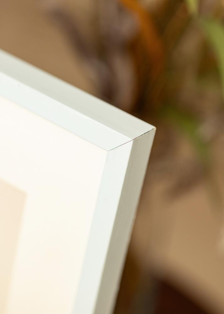 Colorful Verre acrylique Turquoise 42x59,4 cm (A2)