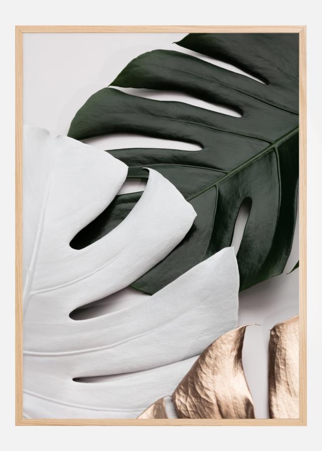 Monstera Colors Poster