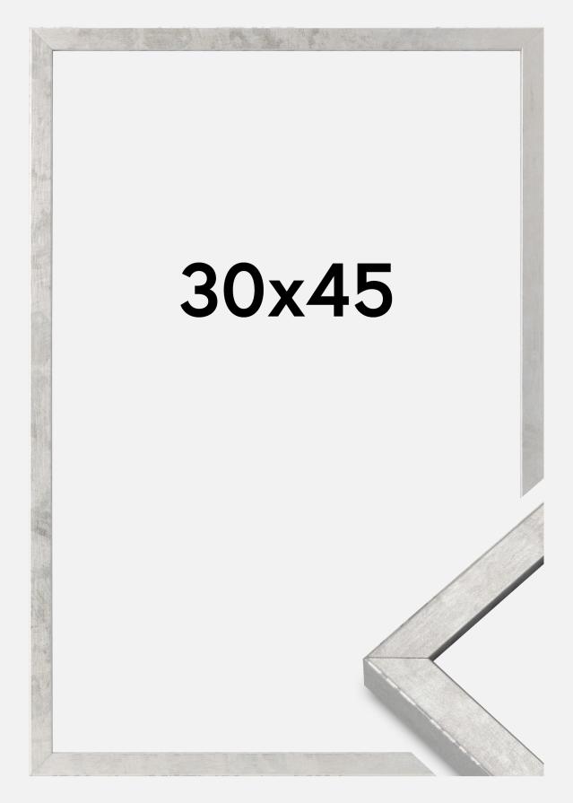 Cadre Ares Verre acrylique Argent 30x45 cm