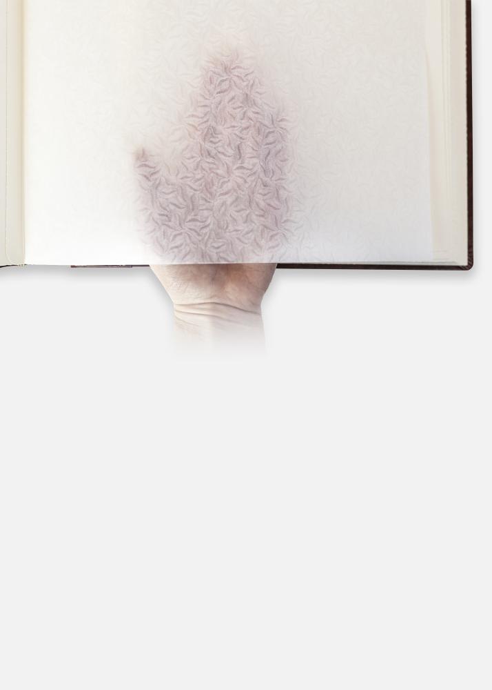 Madrid Album Brun - 30x31 cm (60 Brong Säiten / 30 Feuilles)