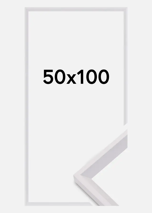 Cadre Globe Verre Acrylique Blanc 50x100 cm