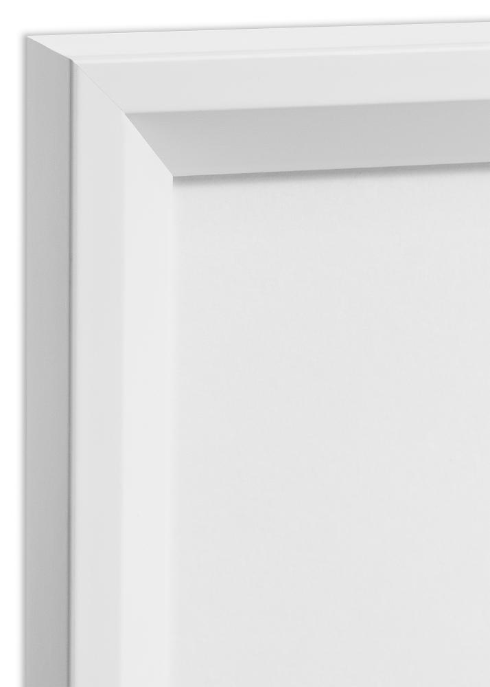 Cadre Globe Verre Acrylique Blanc 50x100 cm