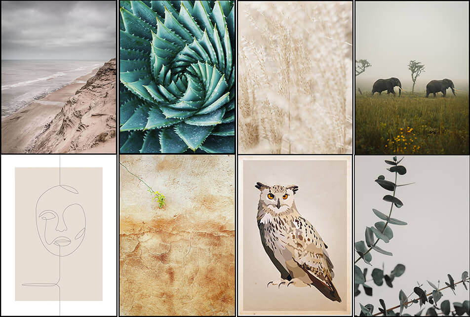 Posters aux couleurs naturelles - décoration naturelle